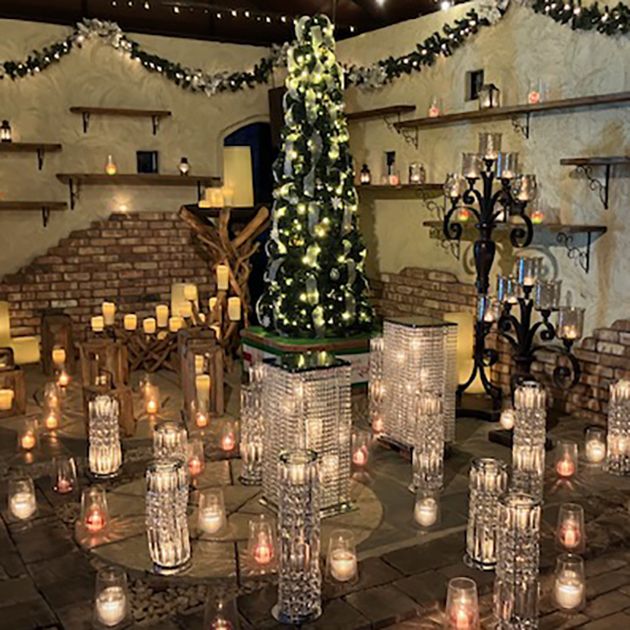 【商品提供】山梨県・ハーブ庭園旅日記「ガーデンイルミネーション2025」